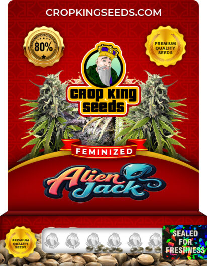 Alien Jack Feminized