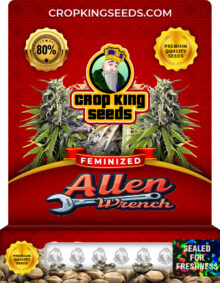 Allen Wrench Feminized
