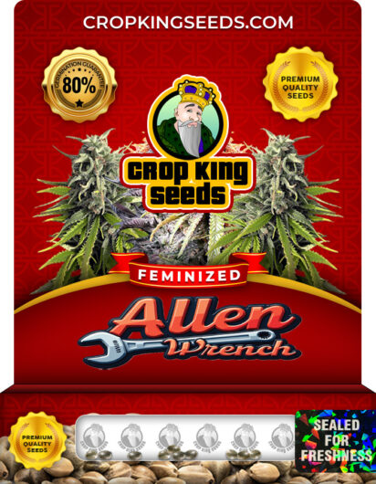 Allen Wrench Feminized