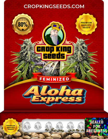 Aloha Express Feminized