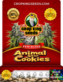 Animal Star Cookies Feminized