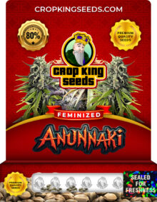 Anunnaki Feminized