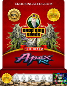 Apex R1 Feminized