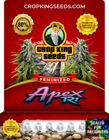 Apex R1 Feminized