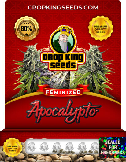 Apocalypto Feminized