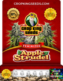 Apple Strudel Feminized