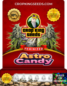 Astro Candy Feminized
