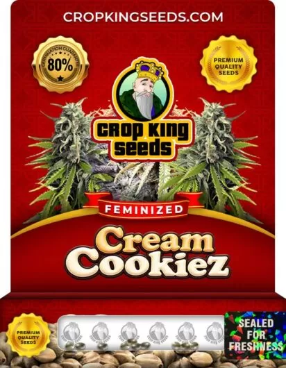 Cream Cookiez Feminized