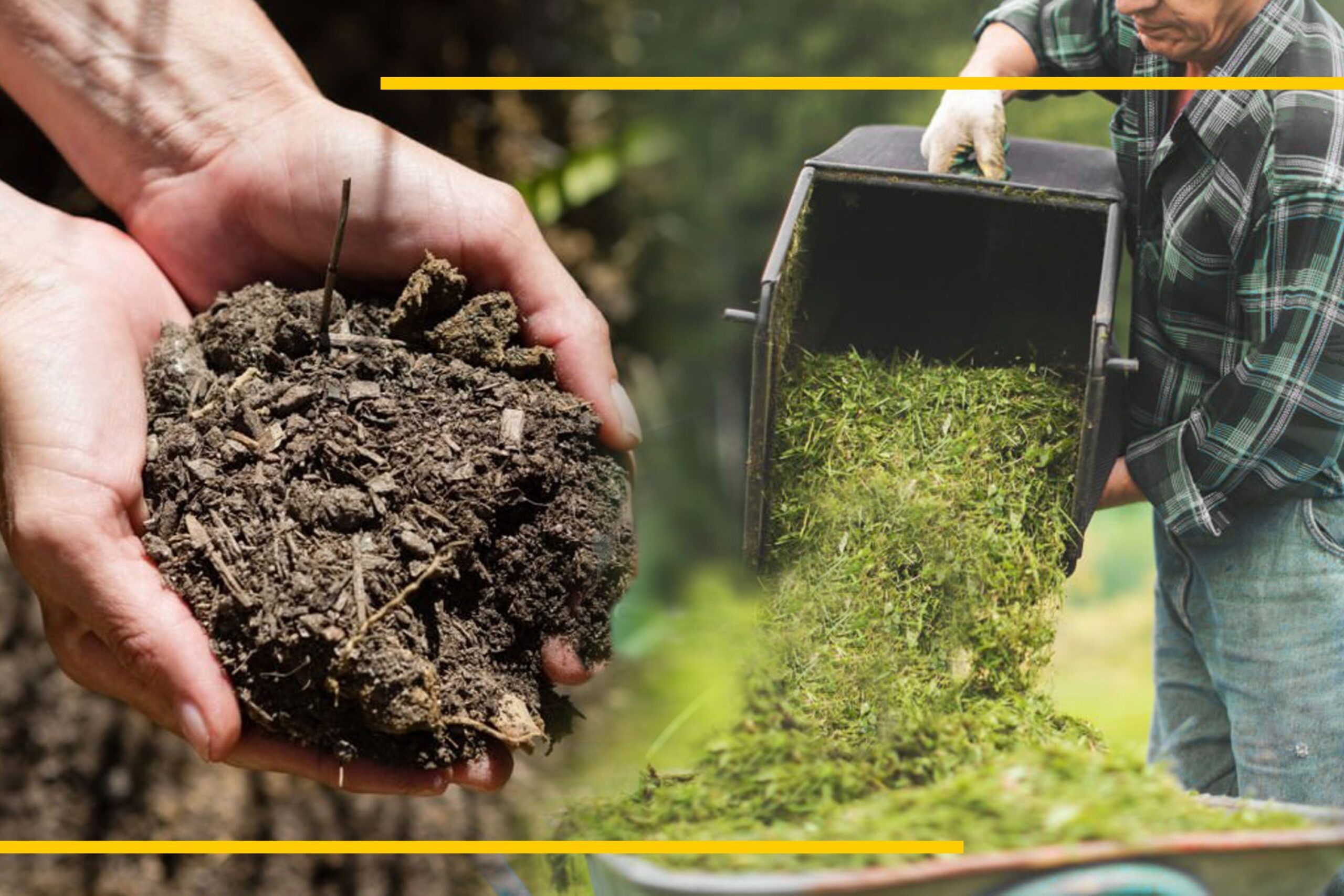 Designing the Perfect Veganic Soil