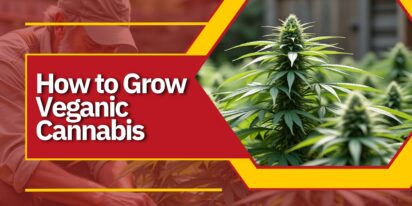 How to Grow Veganic Cannabis
