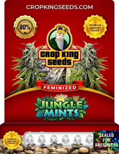 Jungle Mints Feminized