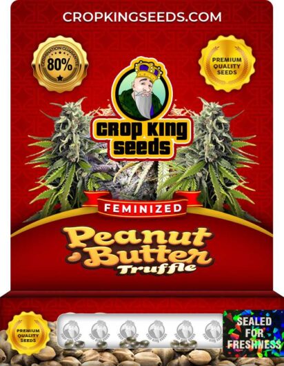 Peanut Butter Truffle Feminized