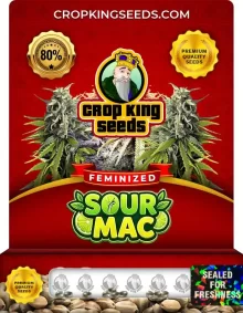 Sour Mac Feminized