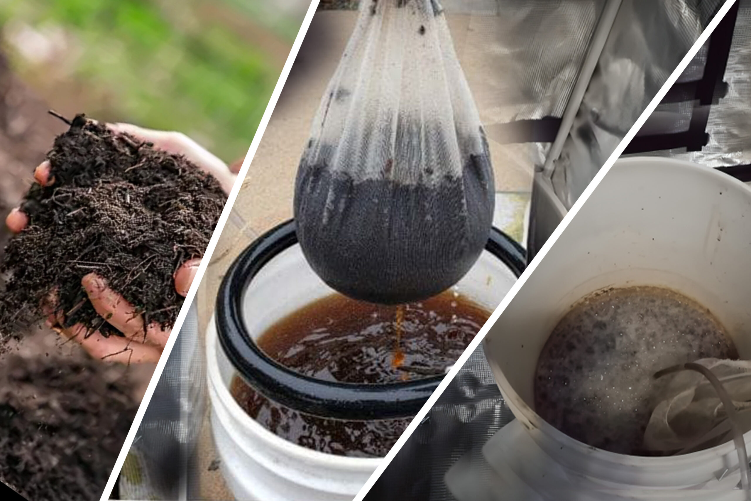 What Are Cannabis Compost Teas