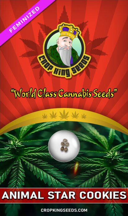 Animal Star Cookies Feminized