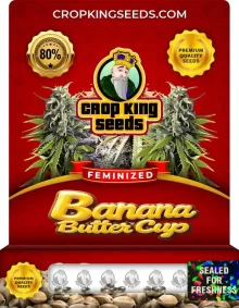 Banana Butter Cup Strain