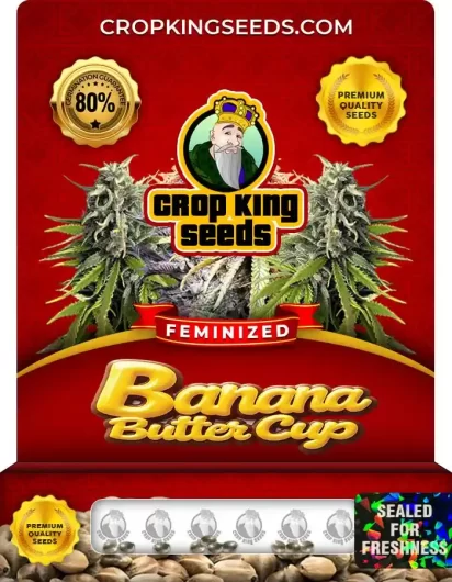 Banana Butter Cup Strain