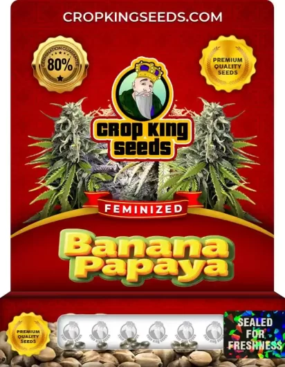 Banana Papaya Strain