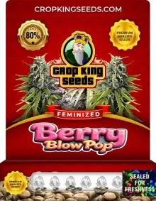 Berry Blow Pop Strain