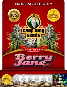 Berry Jane Strain