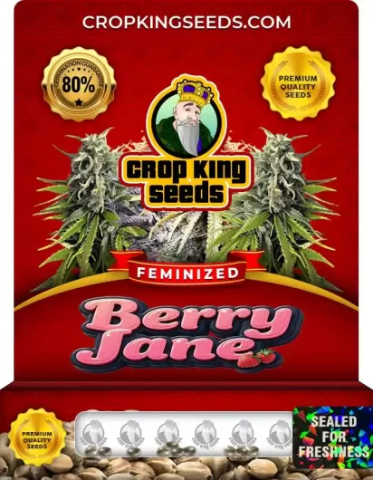 Berry Jane Strain