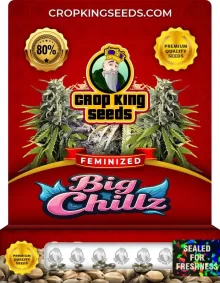 Big Chillz Strain