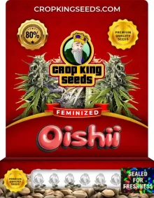 Oishii Strain