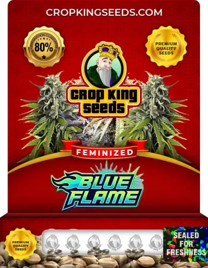 Blue Flame Feminized