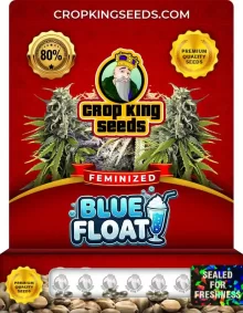 Blue Float Feminized