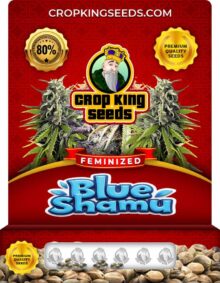 Blue Shamu Strain