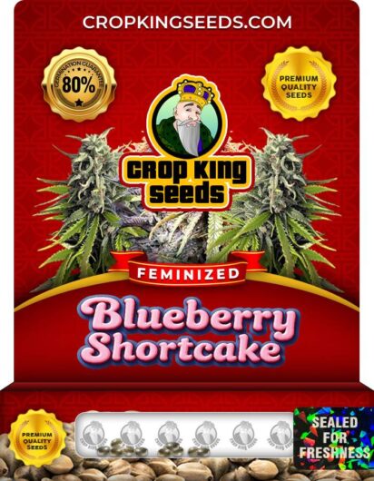 Blueberry Shortcake Strain