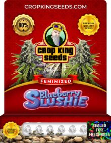 Blueberry Slushie Strain