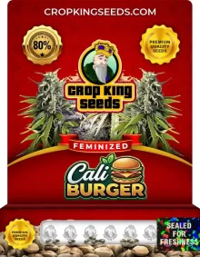 Cali Burger Feminized
