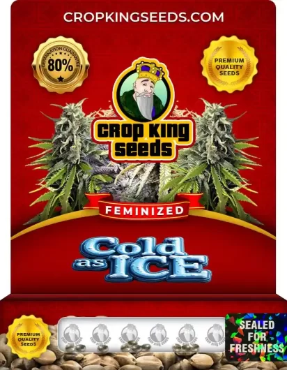 Cold As Ice Feminized