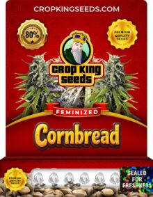 Combread Feminized