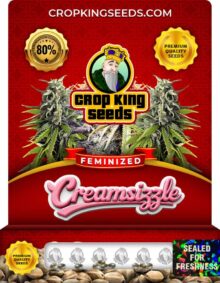 Creamsizzle Feminized