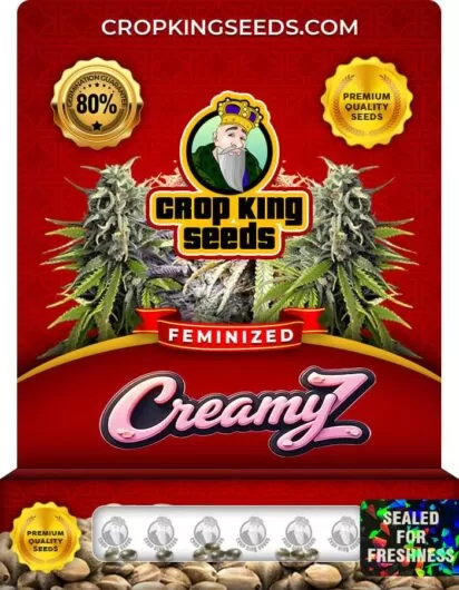Creamy Z Feminized