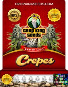 Crepes Feminized