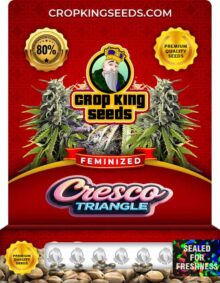 Cresco Triangle Feminized
