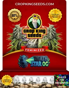 Death Star OG Feminized