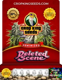 Deleted Scene Feminized