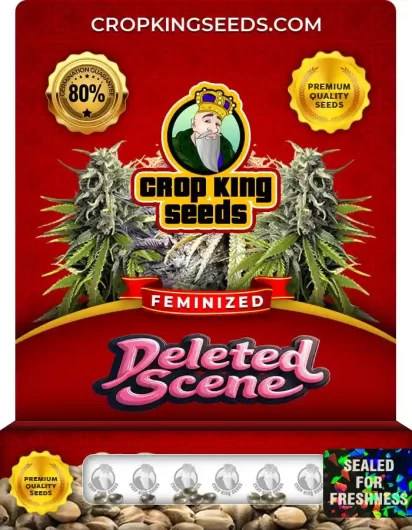 Deleted Scene Feminized