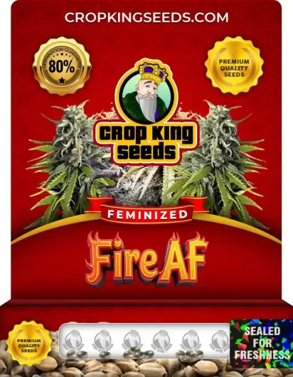 Fire AF Feminized