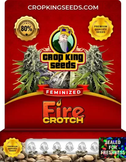 Fire Crotch Feminized