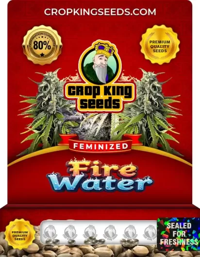 Fire Water Feminized