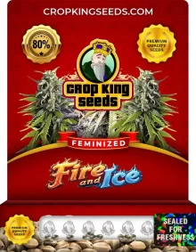Fire and Ice Feminized
