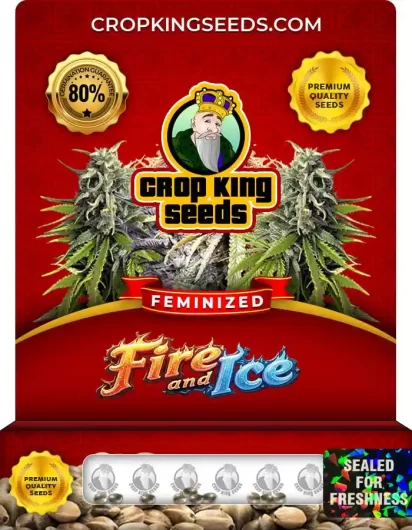 Fire and Ice Feminized