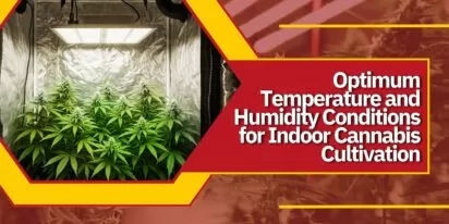 Optimum Temperature and Humidity Conditions for Indoor Cannabis Cultivation