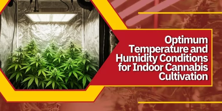 Optimum Temperature and Humidity Conditions for Indoor Cannabis Cultivation