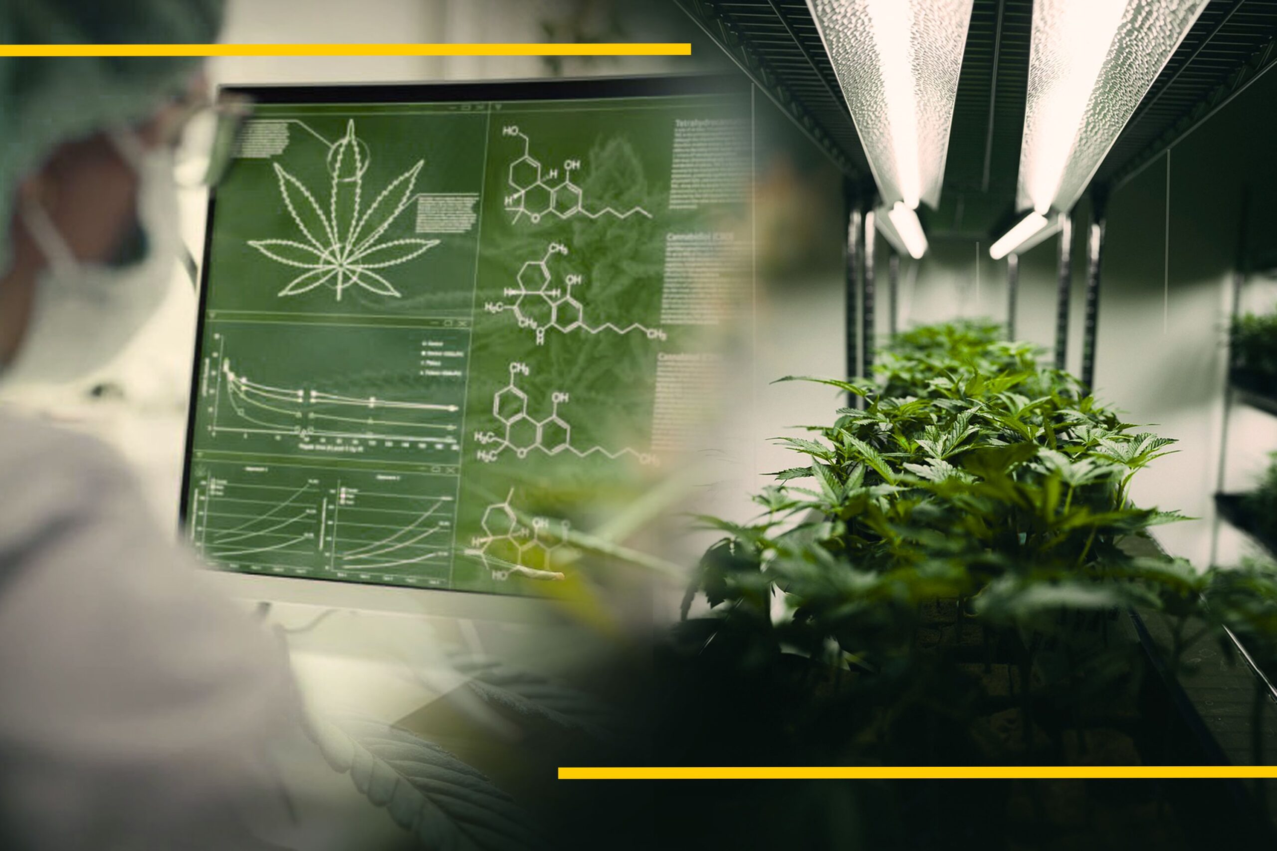 Understanding Vapor Pressure Deficit (VPD)_ The Key to Climate Control